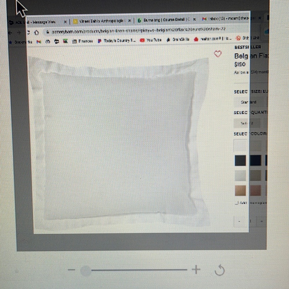 Pottery Barn euro shams 3